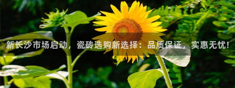 杏鑫平台平台娱乐怎么样