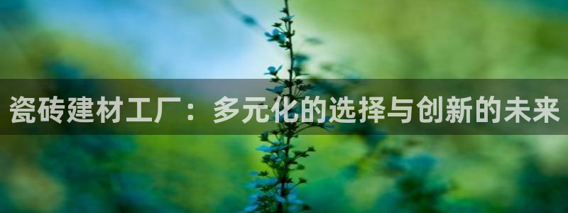 杏鑫平台代理怎么做的