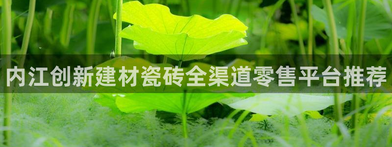 杏鑫平台怎么样知乎