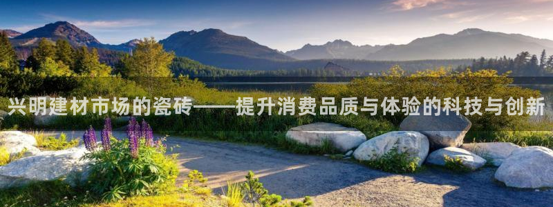 杏鑫官方平台怎么样啊安全吗