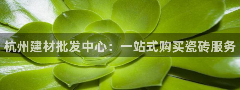 杏鑫娱乐怎么下