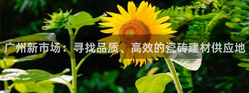 杏鑫官网