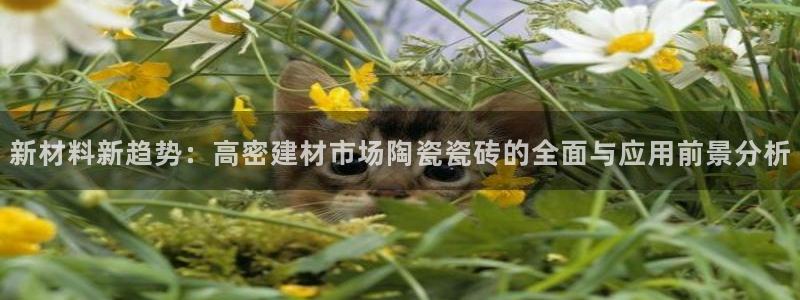 杏鑫平台注册网址查询