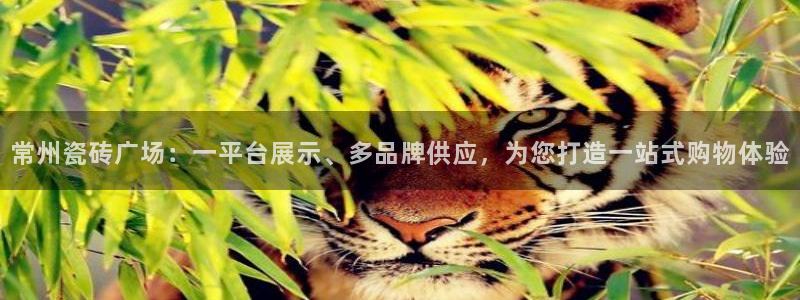 杏鑫平台正规吗是真的吗