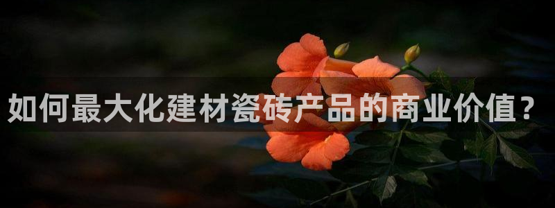 杏鑫平台招商电话号码