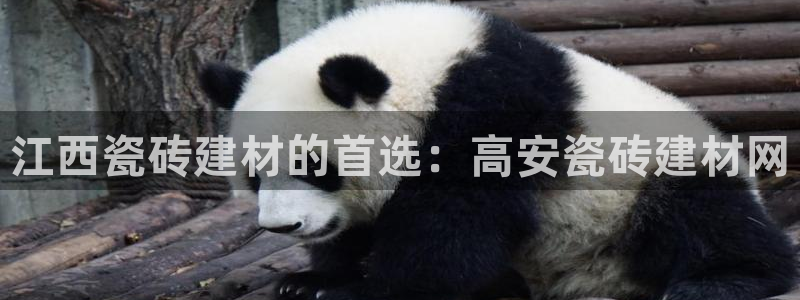 杏鑫平台下载安装