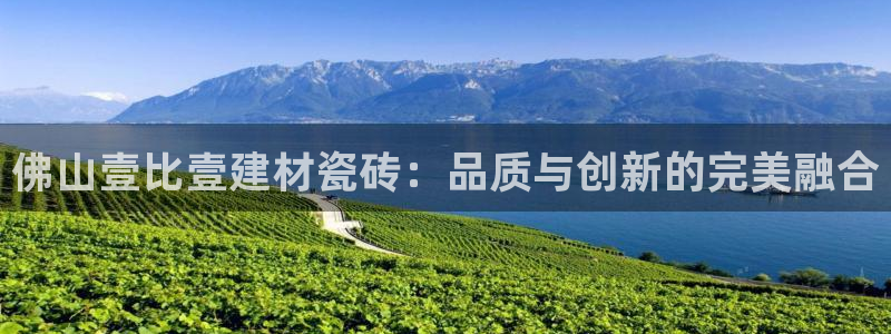 杏鑫平台代理怎么做的