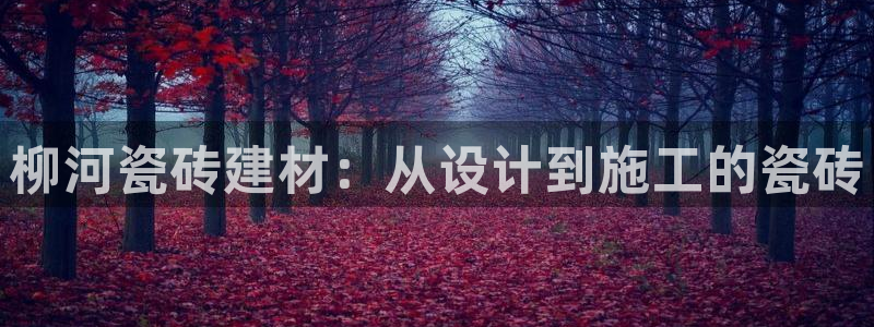 杏鑫娱乐官网登录