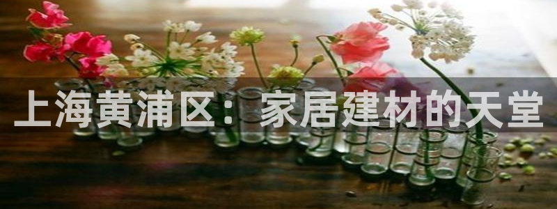 杏鑫手机客户端怎么下载