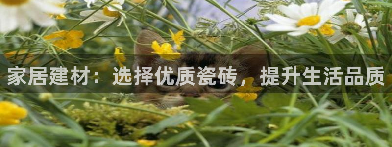 杏鑫手机客户端怎么下载