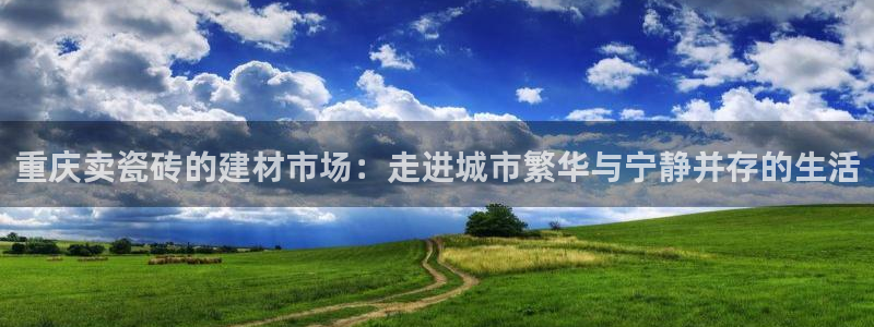 杏鑫平台代理怎么样赚钱