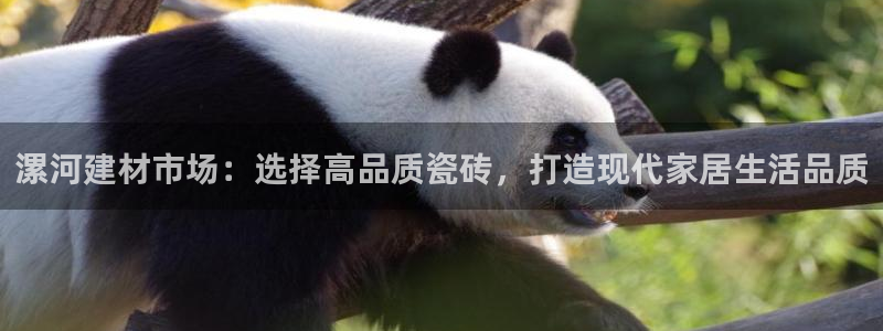 杏鑫官方平台怎么样啊知乎