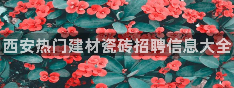 杏鑫平台直属哪个公司