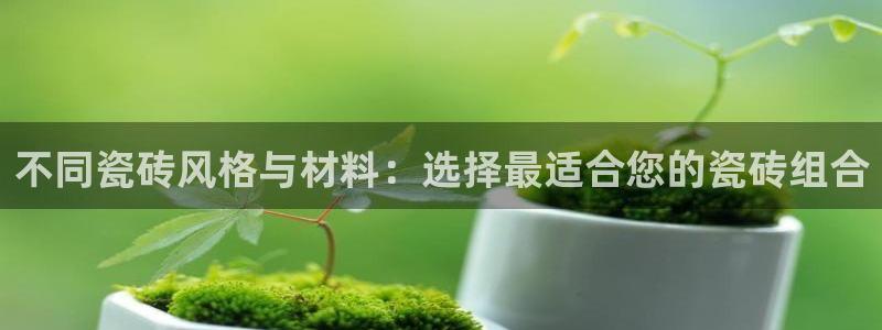 杏鑫平台登录地址在哪