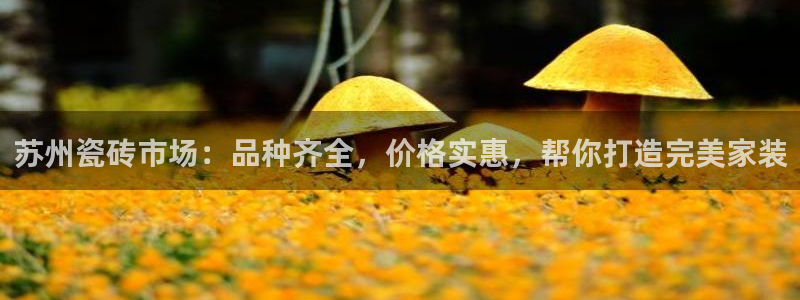 杏鑫平台代理注册登录不了怎么办呀苹果