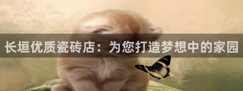 杏鑫平台代理注册