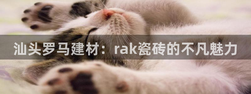 杏鑫平台注册入口