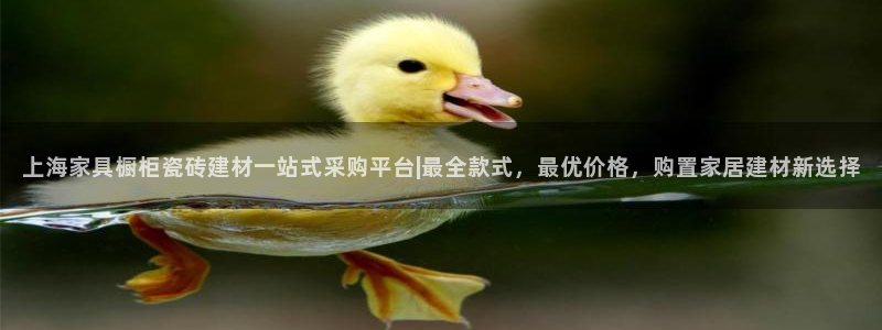 杏鑫平台代理注册登录不了怎么办呀苹果