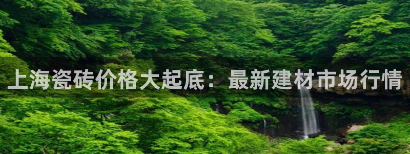 杏鑫平台代理注册流程及费用