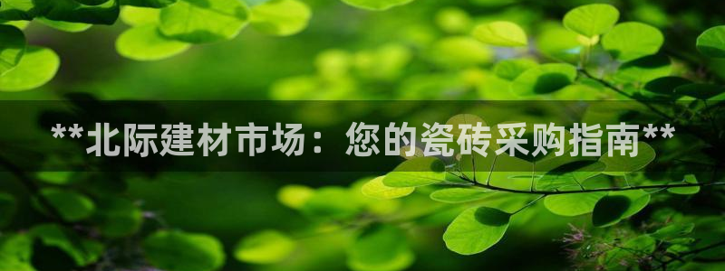 杏鑫平台代理注册流程图