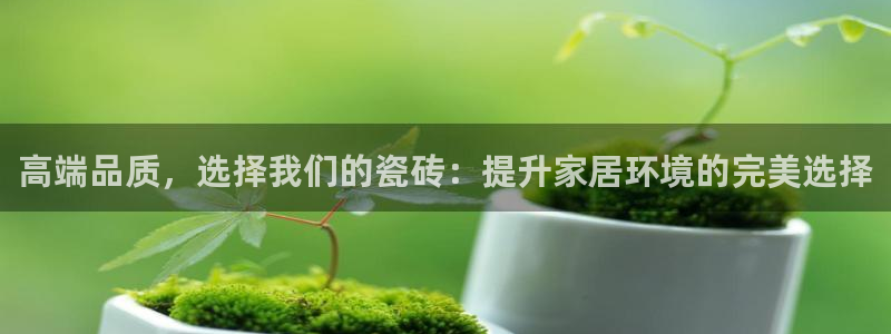 杏鑫平台代理注册流程及费用