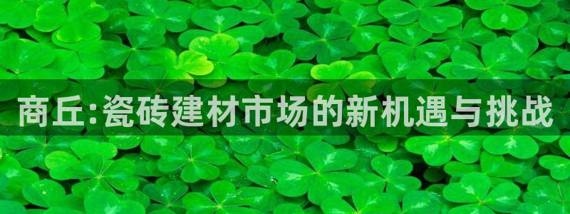 杏鑫平台注册地址是哪里