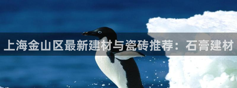 杏鑫平台代理注册多少钱一个