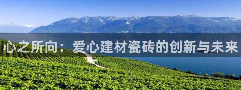 杏鑫平台登录地址