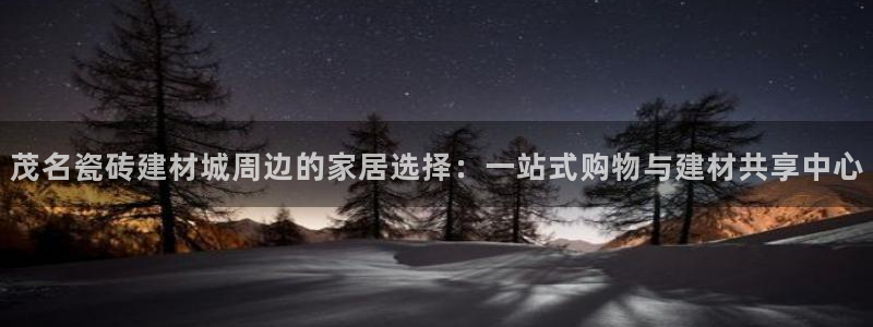 杏鑫代理注册资金多少