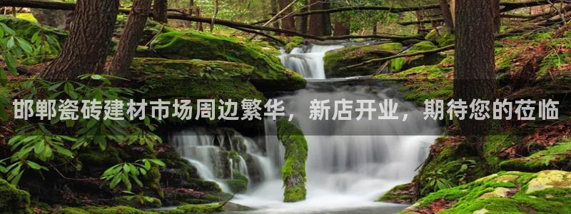 杏鑫平台代理注册流程视频