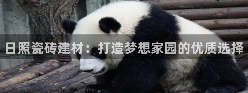 杏鑫平台注册网址