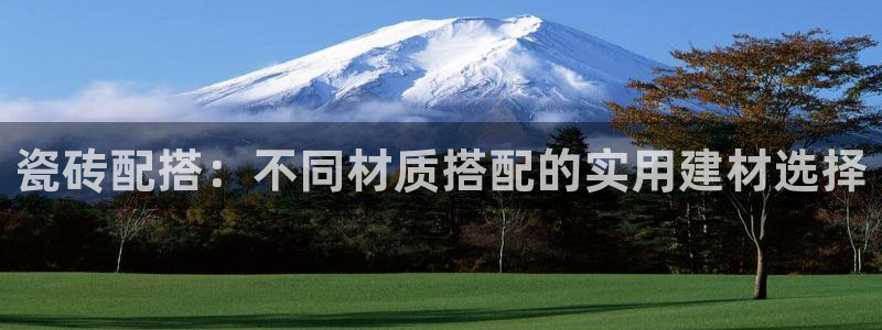 杏鑫平台登录地址是什么