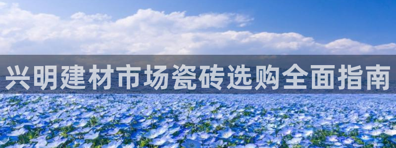 杏鑫官网注册账号是什么意思