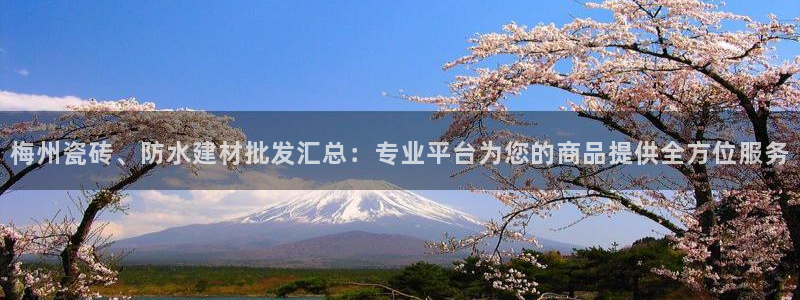 杏鑫平台在线注册