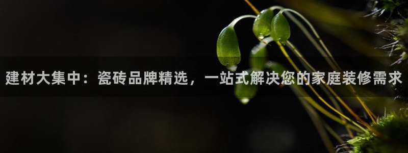 杏鑫官方平台怎么样啊知乎