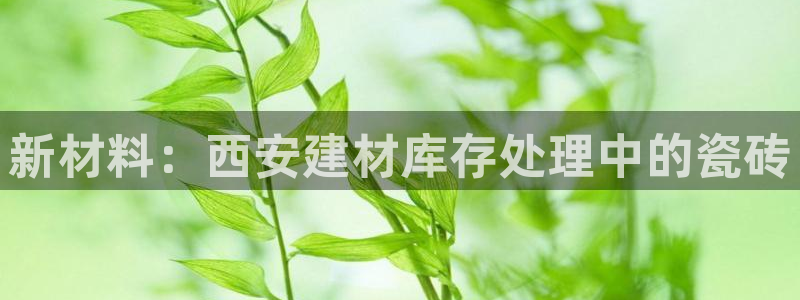 杏鑫官网注册账号密码忘了