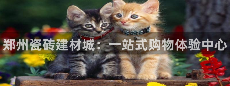 杏鑫平台怎么样黑钱吗是真的吗吗