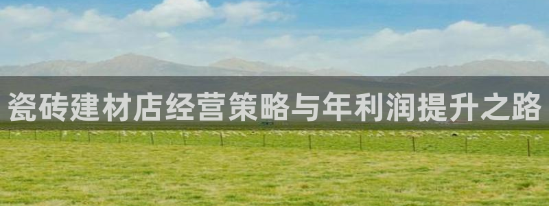 杏鑫平台代理注册流程图