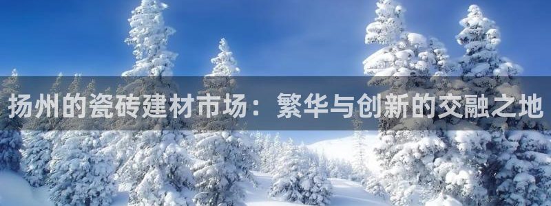 杏鑫平台在线注册流程