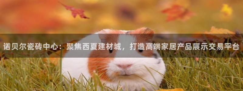 杏鑫平台代理注册流程视频