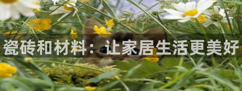 杏鑫平台登录地址在哪