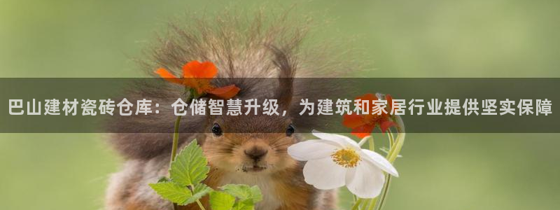 杏鑫登录注册测速