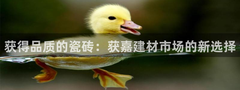 杏鑫娱乐平台登录注册网站