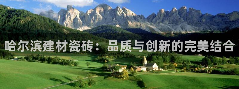 杏鑫平台代理注册登录不了怎么办呀视频