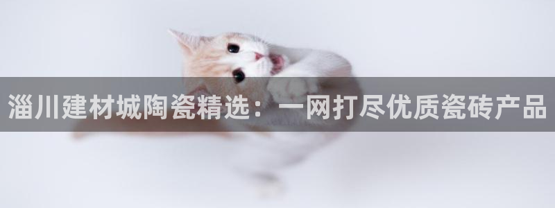 杏鑫官方平台怎么样