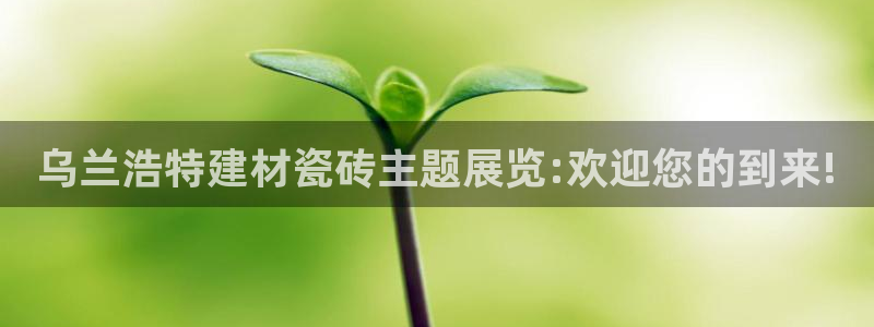 杏鑫注册平台官方网站下载