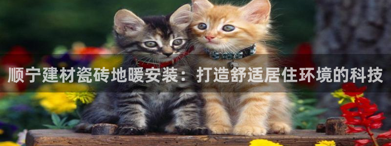 杏鑫平台怎么样知乎